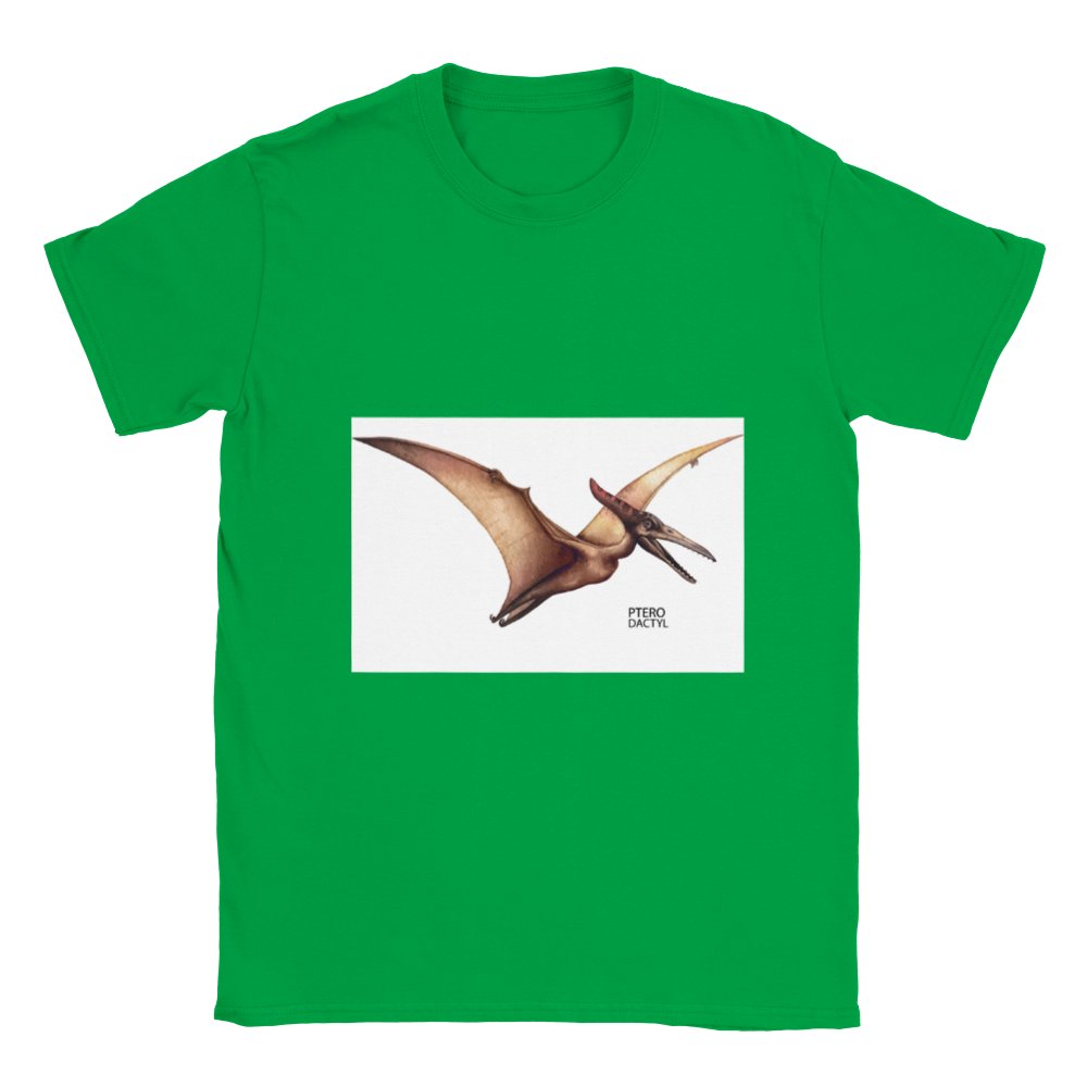 Tetradactyl kids dinosaur T-shirt